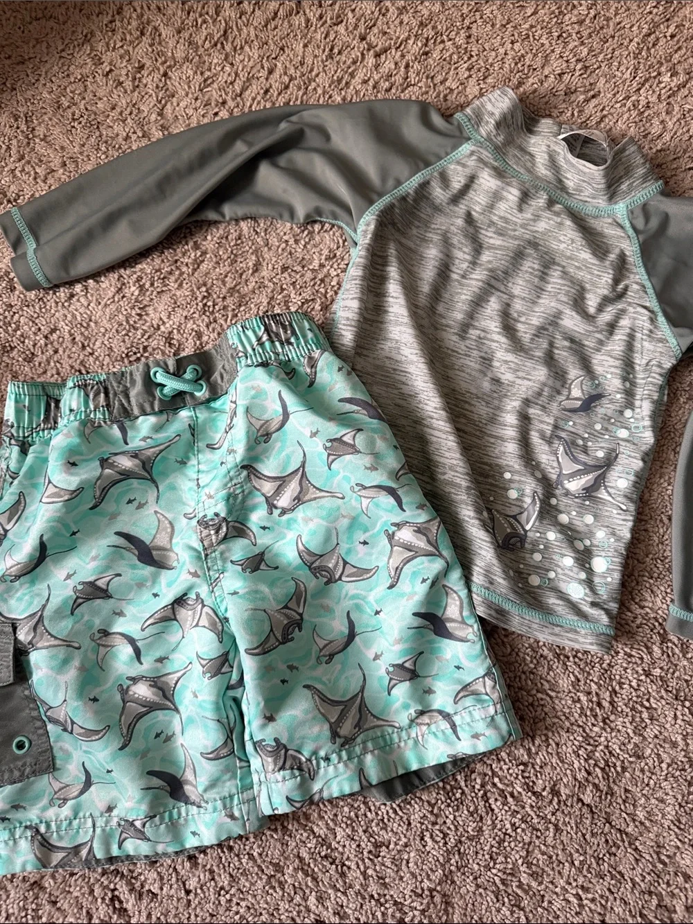Boys' Mint & Gray Manta Ray Swim Trunks and Rash Guard Set